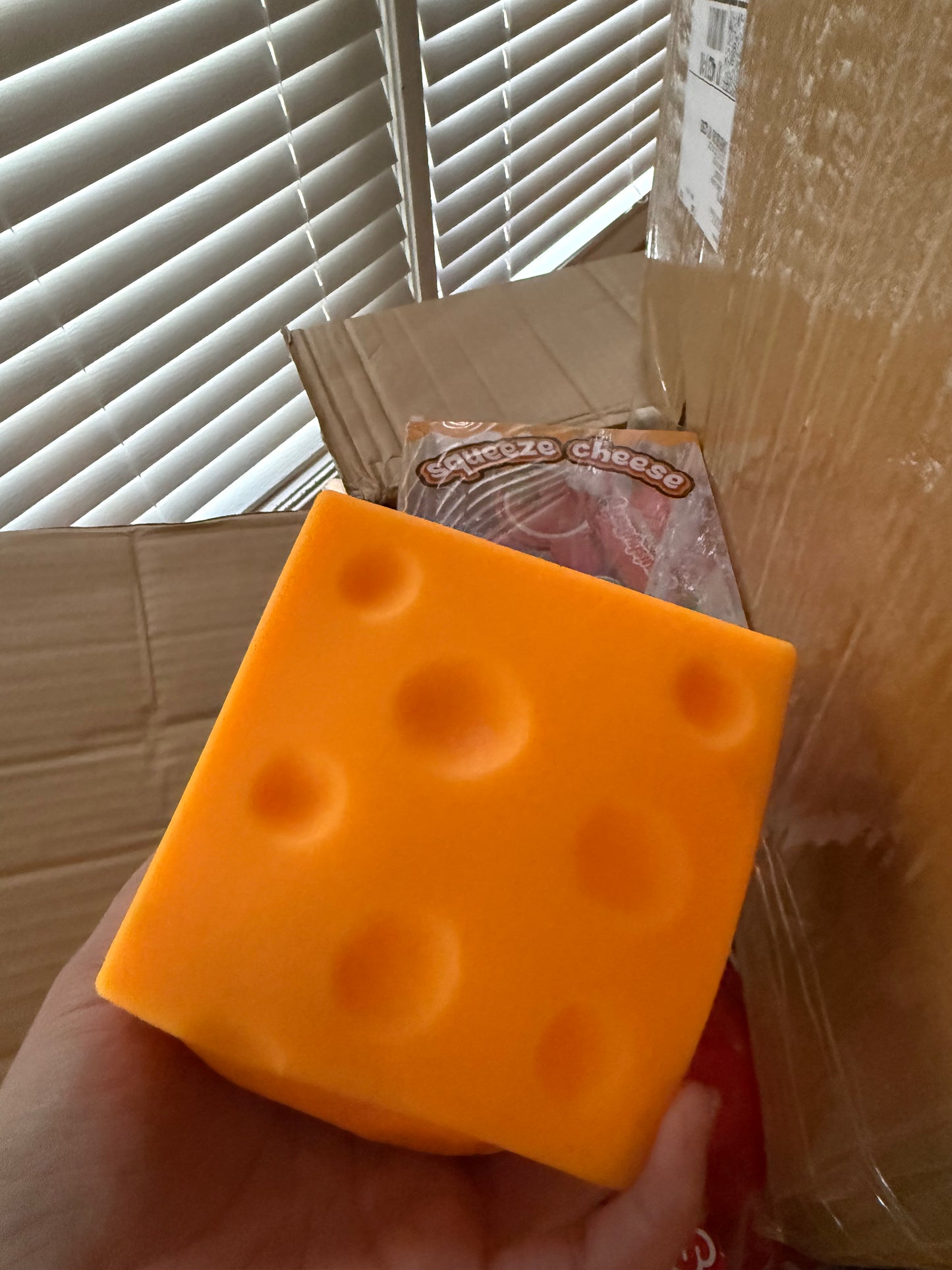 Massive cheese squishy